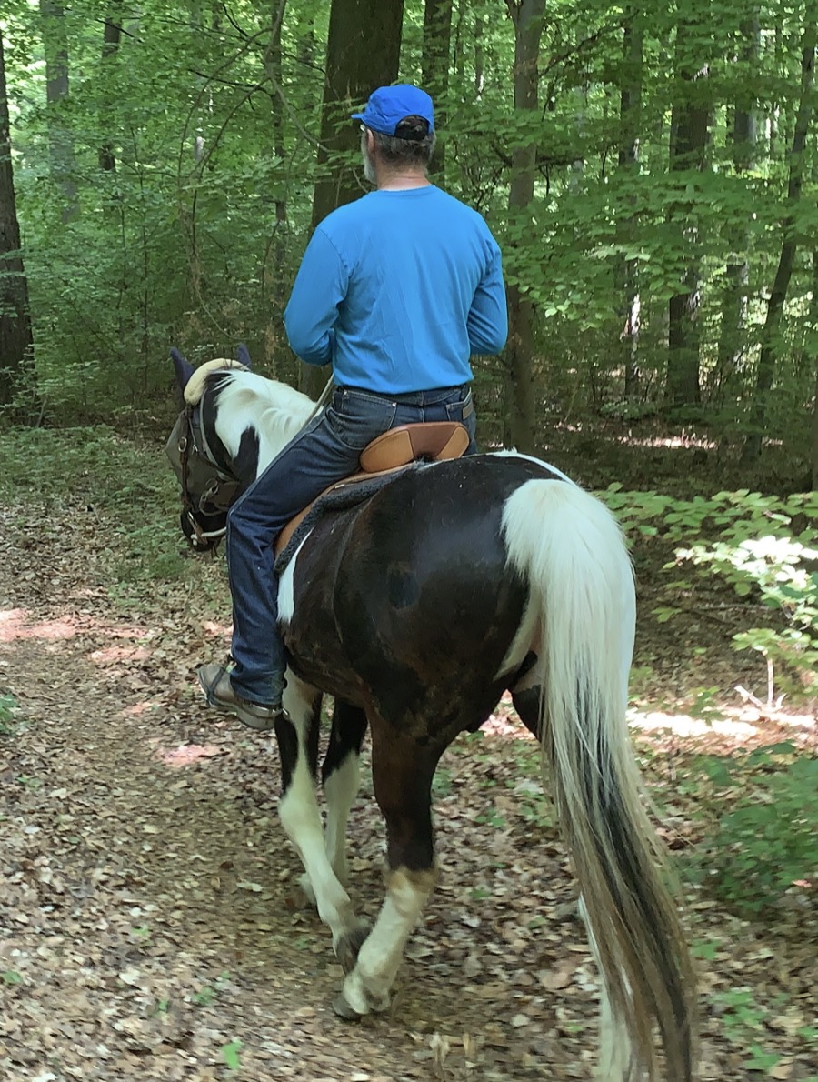 Janimal zu Pferd auf einem Waldweg