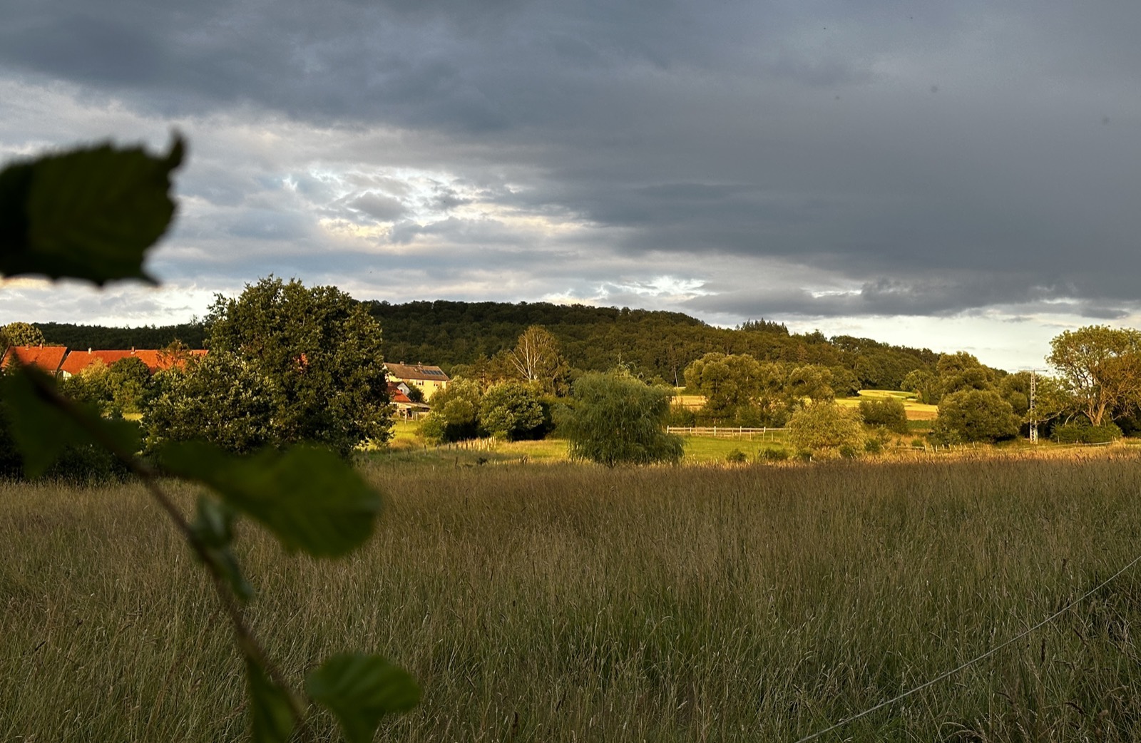 Der Hof am Waldrand im Abendlicht