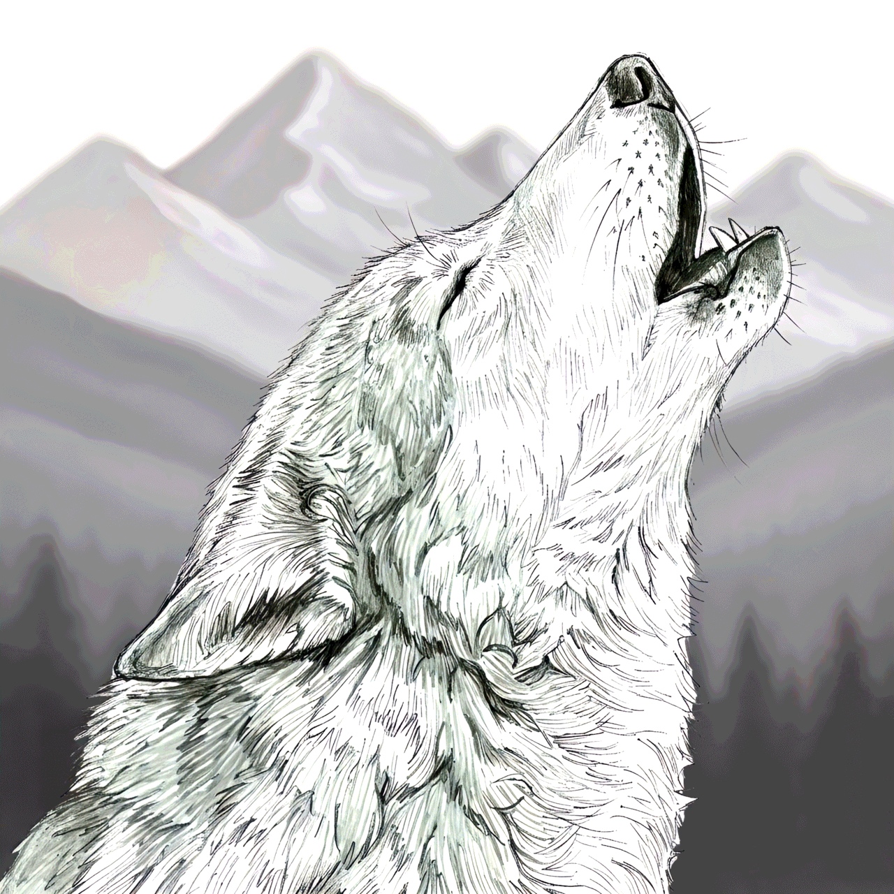 Tuschezeichnung: Silberwolf heult in winterlicher Landschaft